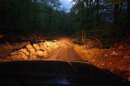 DSC2 (77).jpg